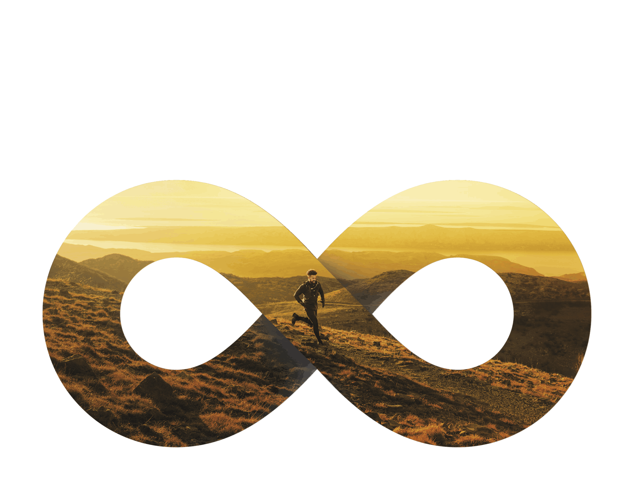 fenix 8